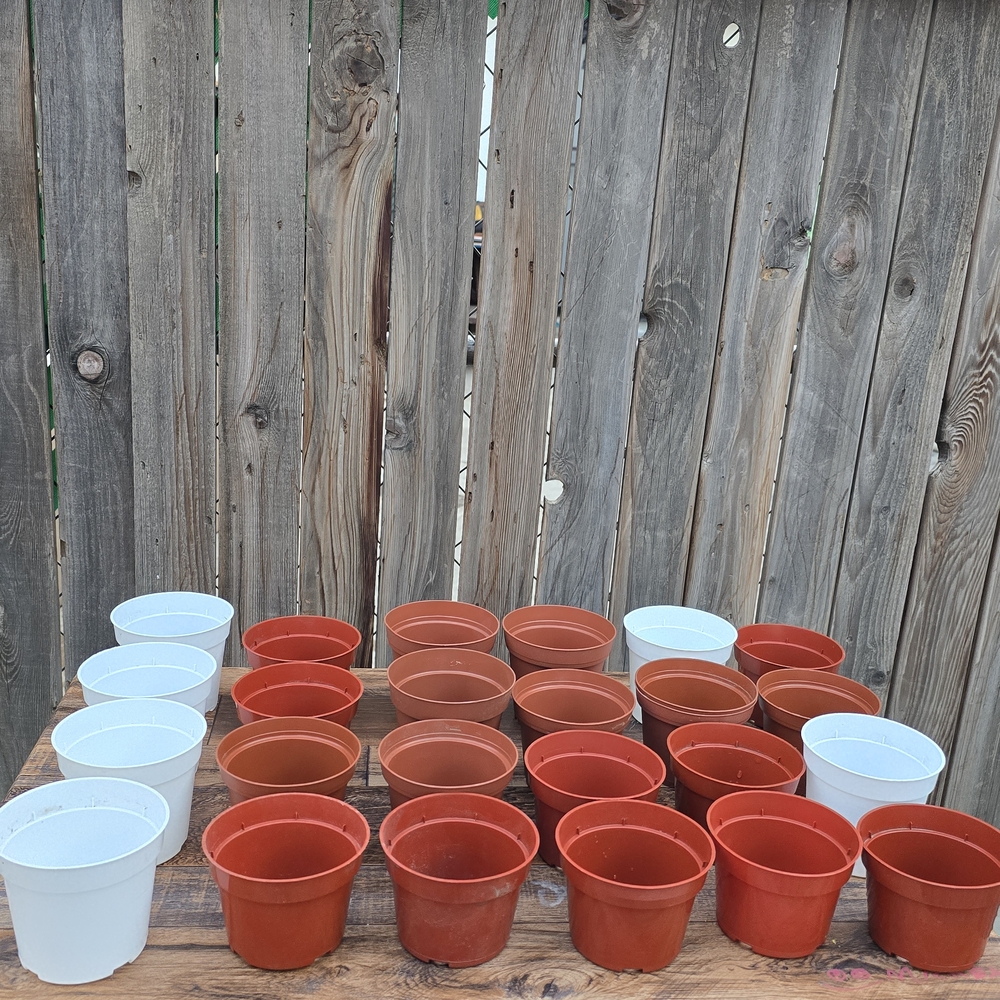 Set of 25 Plastic Rust and White Plant Pots